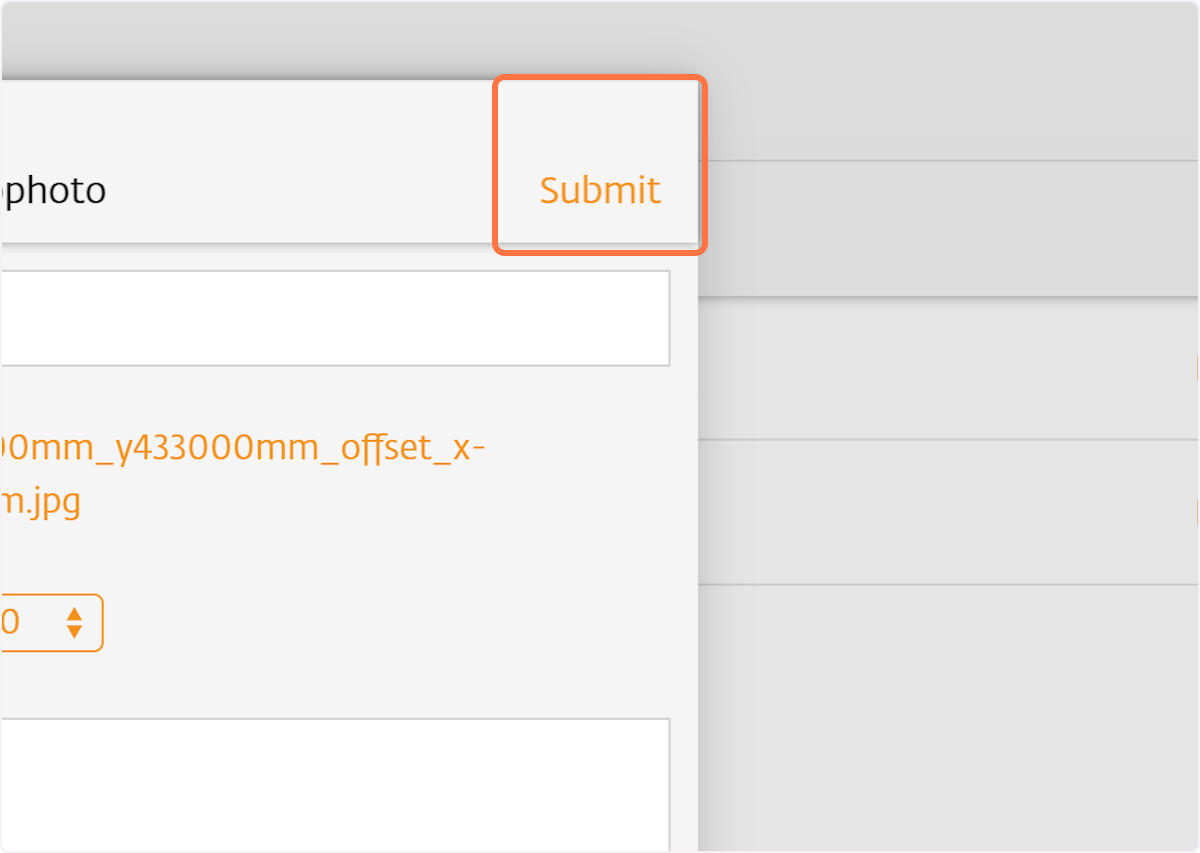 Svae the new orthophoto by clicking "Submit"